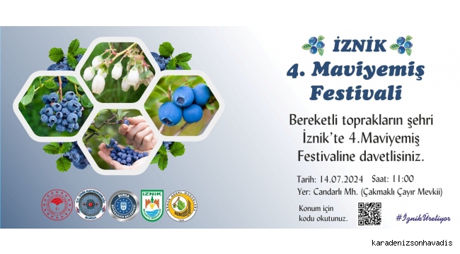 İznik'te 4. Maviyemiş Festivali başlıyor