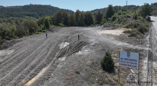 Kdz. Ereğli Belediyesi, sokaktaki canlara nefes olmayı sürdürecek