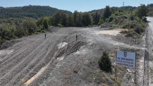 Kdz. Ereğli Belediyesi, sokaktaki canlara nefes olmayı sürdürecek