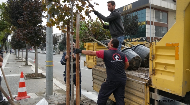 EKSİK NOKTALARDA AĞAÇLANDIRMA YAPILIYOR