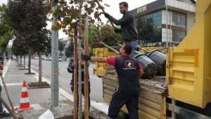 EKSİK NOKTALARDA AĞAÇLANDIRMA YAPILIYOR