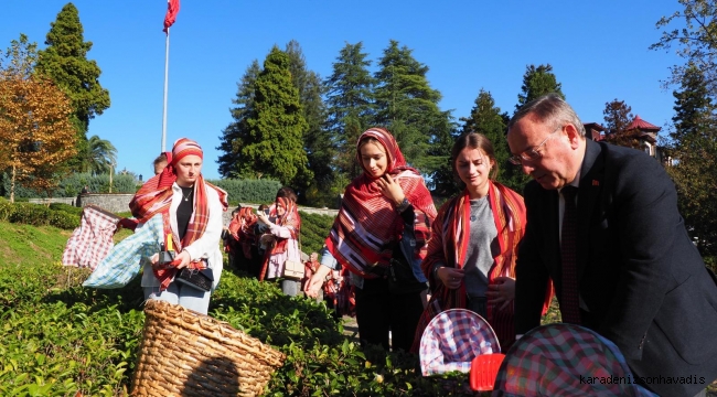 Makedonyalı Türk Gençler Çaykur Genel Müdürü Alimle çay topladı