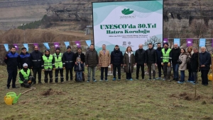 Safranbolu’da “UNESCO 30. Yıl Hatıra Koruluğu” Kuruldu