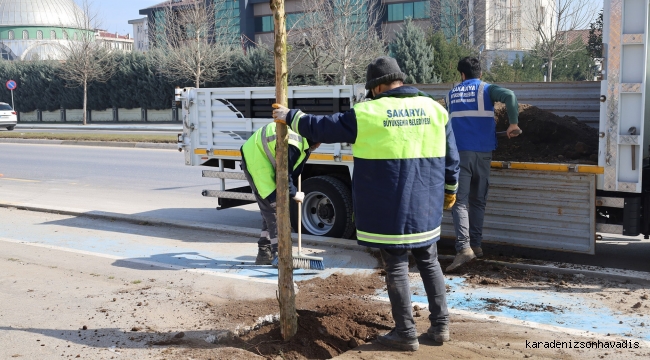 Büyükşehir ‘yeşil’ dokunuşla şehrin çehresini değiştiriyor