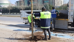 Büyükşehir ‘yeşil’ dokunuşla şehrin çehresini değiştiriyor