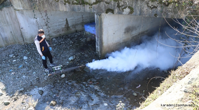 RİZE BELEDİYESİ’NDEN SİVRİSİNEĞE KARŞI ‘LARVA’ DÖNEMİ MÜCADELESİ