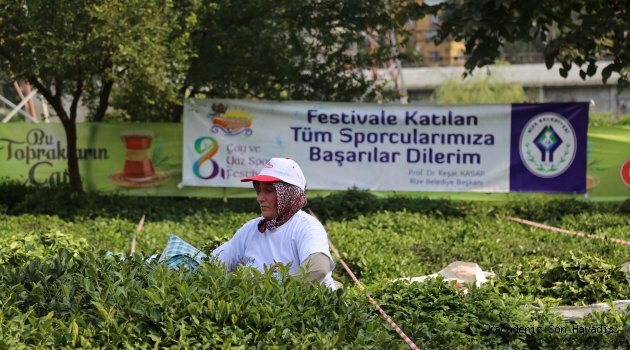 Rize'de "Çay Toplama Yarışması" düzenlendi