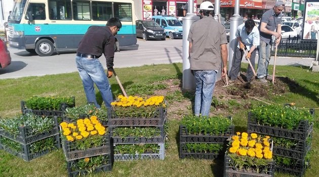 Safranbolu Çiçek Açtı